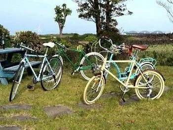 Joseph Tree Guest House Jeju South Korea