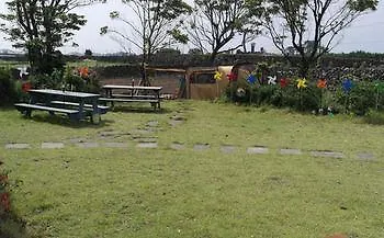 Joseph Tree Guest House Jeju