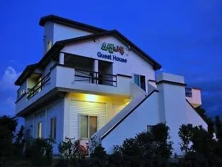 Joseph Tree Guest House Jeju South Korea