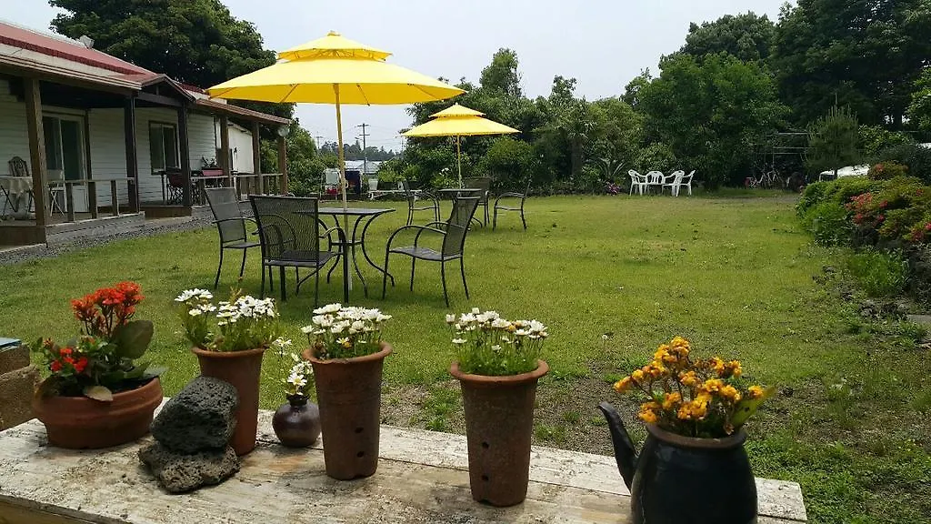Joseph Tree Guest House Jeju