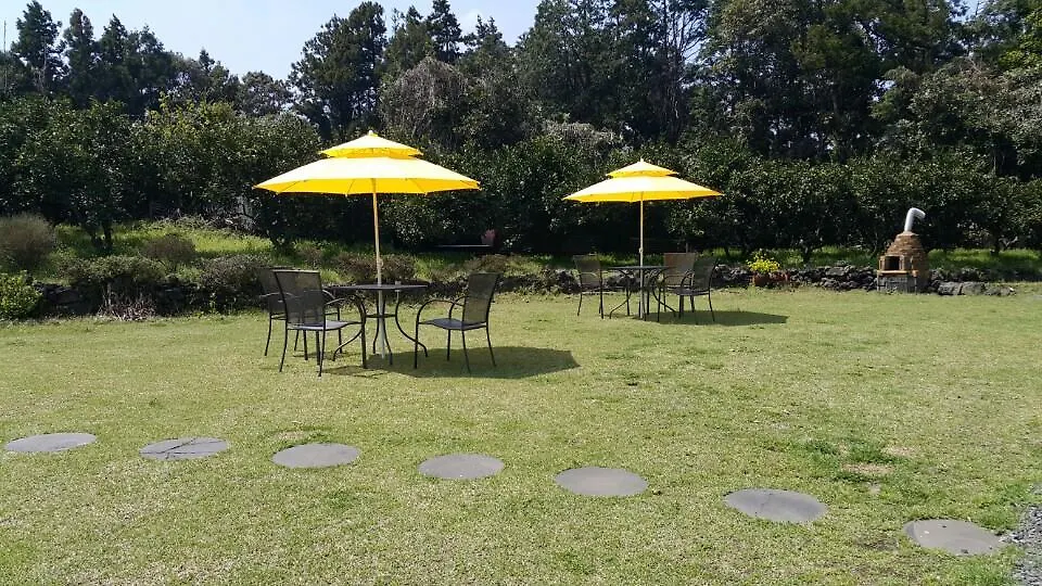 Joseph Tree Guest House Jeju