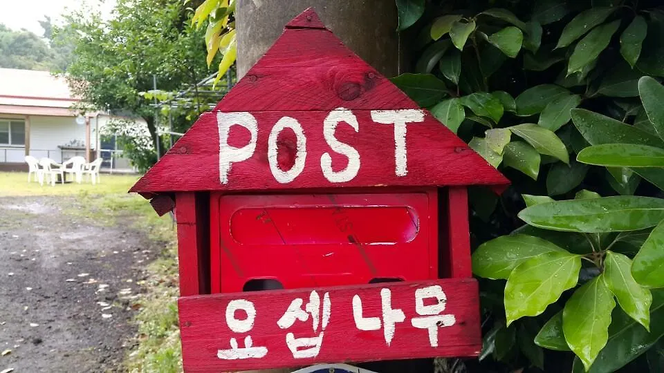 Joseph Tree Guest House Jeju